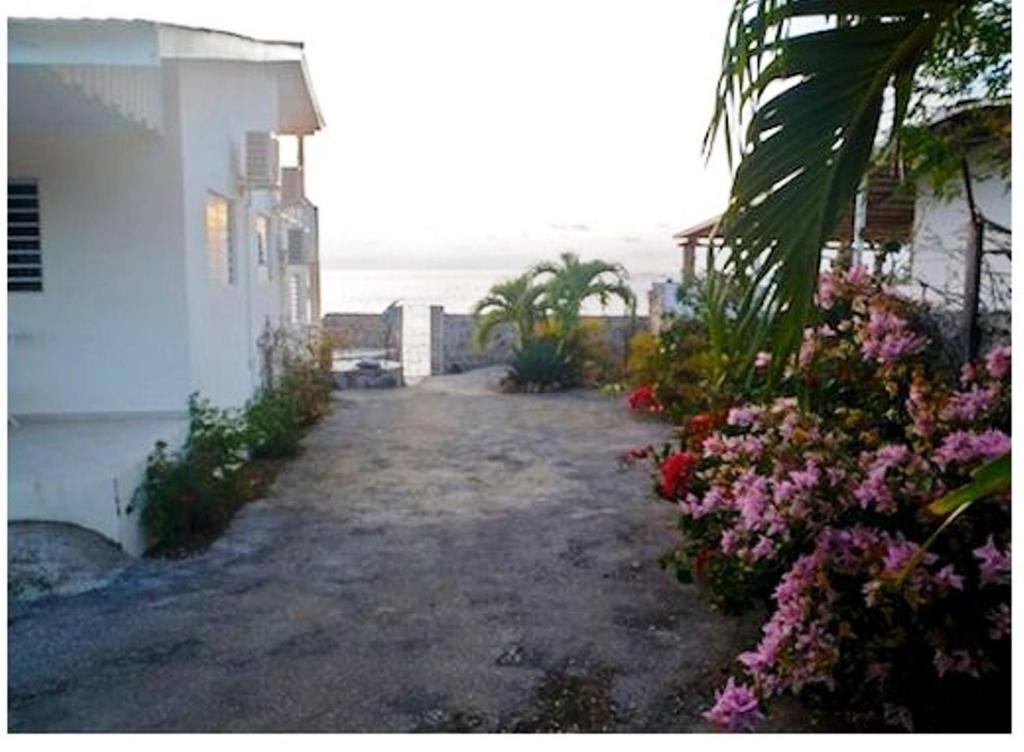 Dolphin Hearthouse Villa Lagun Oda fotoğraf